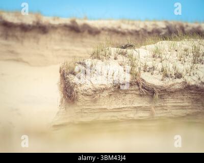 Wind-sculpted sand ripples and grass tufts on dune surface creating abstract natural textures Stock Photo