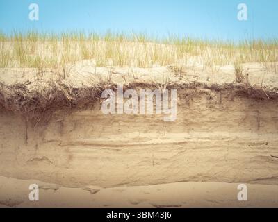Wind-sculpted sand ripples and grass tufts on dune surface creating abstract natural textures Stock Photo