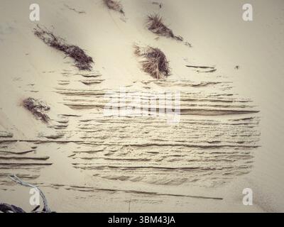 Wind-sculpted sand ripples and grass tufts on dune surface creating abstract natural textures Stock Photo