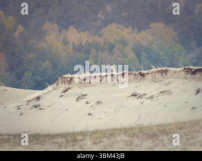 Wind-sculpted sand ripples and grass tufts on dune surface creating abstract natural textures Stock Photo