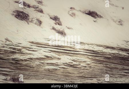 Wind-sculpted sand ripples and grass tufts on dune surface creating abstract natural textures Stock Photo