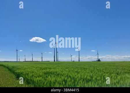 Wind turbines field stretching across a wide green plain beneath a clear blue spring sky. Stock Photo