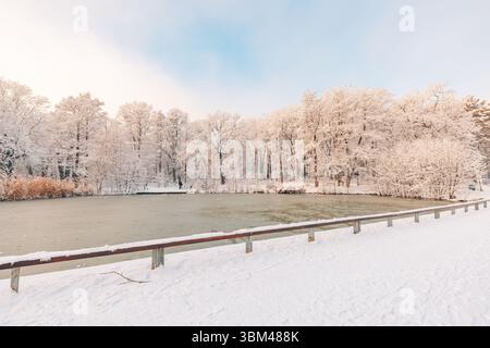 Beautiful winter frozen lake wooden bridge snowy trees white seasonal sky abstract landscape background serene nature scene inspirational outdoor view Stock Photo