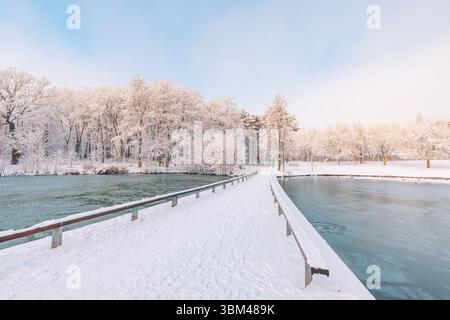Beautiful winter frozen lake wooden bridge snowy trees white seasonal sky abstract landscape background serene nature scene inspirational outdoor view Stock Photo