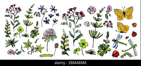 Set of flowers and insects. hand drawn. Not AI, Vector illustration Stock Vector