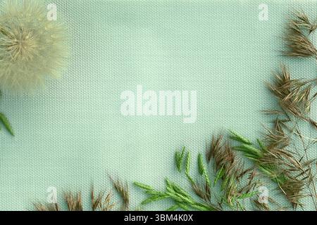 Flat lay of a fluffy dandelion and wild grass spikes arranged on a mint green woven texture. Natural composition with copy space, ideal for seasonal a Stock Photo