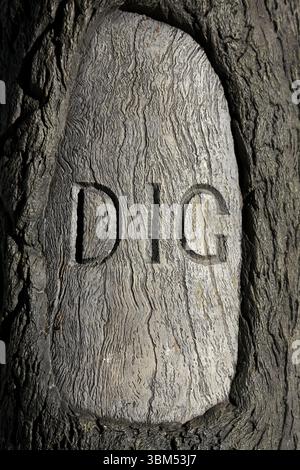Replica of the The Dig Tree carving, Burke and Wills expedition ...