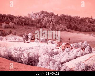 Italy, Pedemonte, Langhe, Barolo. Vineyards. Stock Photo