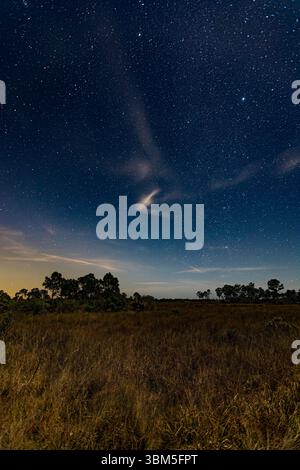 A long exposure at night reveals not only the stars and the moonlit prairie, but the greenish lightning bug trails. Collier County, Florida. Stock Photo