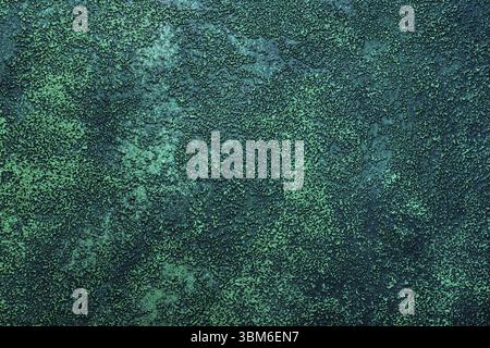 Decorative Grainy beautiful green Stucco Wall Background. Stylized Texture Banner With Space For Text Stock Photo