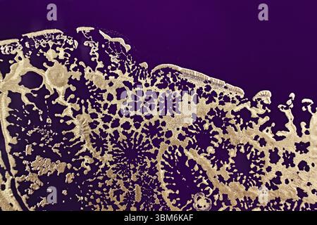Fluid Art. Metallic gold openwork abstraction on purple background Stock Photo