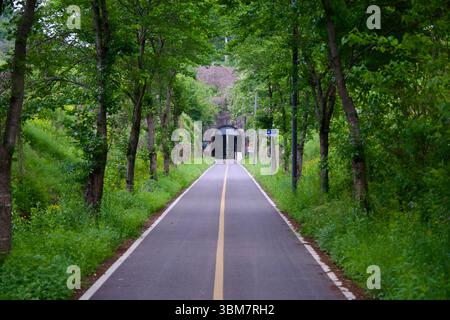 Yangpyeong County, South Korea - May 19th 2025: A straight stretch of the Han River bike path leads cyclists through dense greenery toward the mouth o Stock Photo