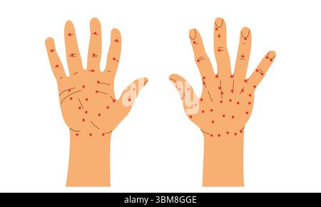 Chinese acupuncture. Human anatomy. Vector illustration of human right hand. Palm and back of the hand. Sujok therapy and acupuncture Stock Vector