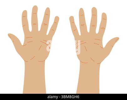 Right and left palms of human hand. Vector illustration isolated on white background. Stock Vector