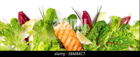 Grilled Salmon Fillet with fresh Salad - Lettuce Panorama isolated on white Background Panorama Stock Photo