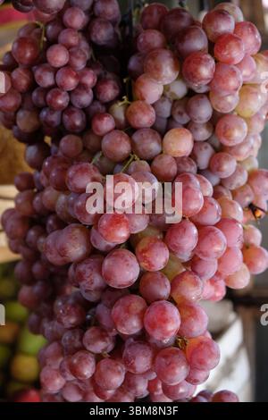 closeup of red ripe grapes. bunch of fresh grapes. red globe grapes. Vitis vinifera 'Red Globe Stock Photo
