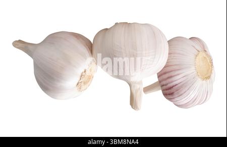 Side view of three white garlic bulbs in stack is isolated on white background with clipping path. Stock Photo
