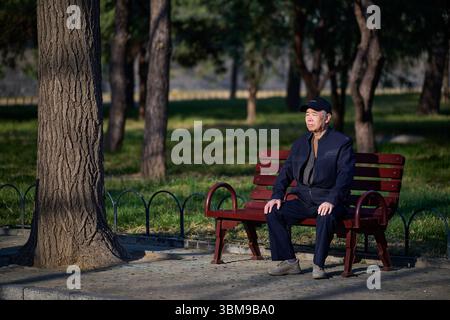 Elderly man sitting alone on bench in quiet city park Stock Photo