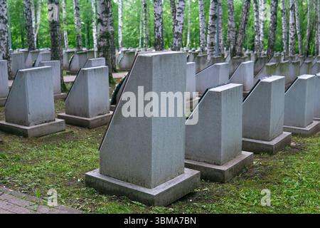 Tombstones in a grove of birch trees in summer Stock Photo