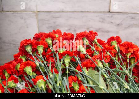 Bunch of red carnation flowers in front of a stone wall Stock Photo