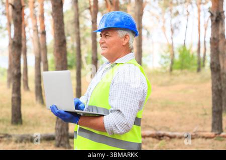Senior forester using laptop in forest Stock Photo