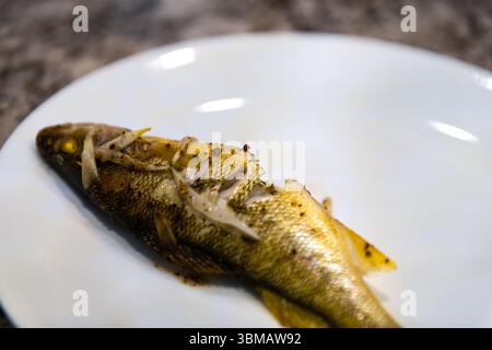 Colorado freshwater animal small young smallmouth bass yellow fish macro of wild caught cooked dinner stuffed with vegetables on white plate Stock Photo