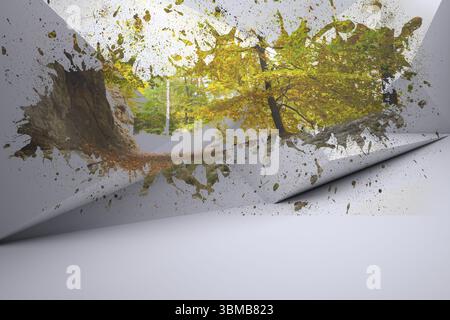 Curled sheet is revealing autumn forest path through paint-splash tear in flat design, copy space Stock Photo