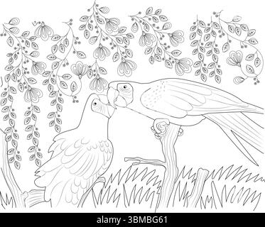 Detailed black and white line art illustration depicting two parrots sitting on a branch, with one bird seemingly feeding the other or engaging in aff Stock Vector