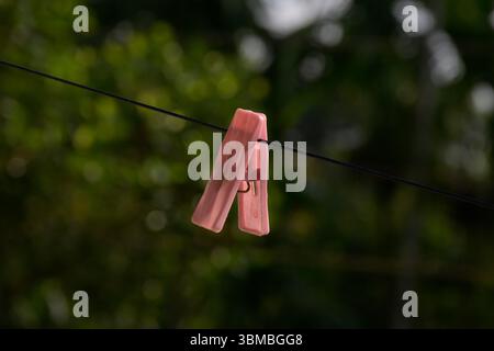 A solitary translucent pink plastic clothespin clips onto a taut dark clothesline, set against a softly blurred background of lush green foliage. This Stock Photo