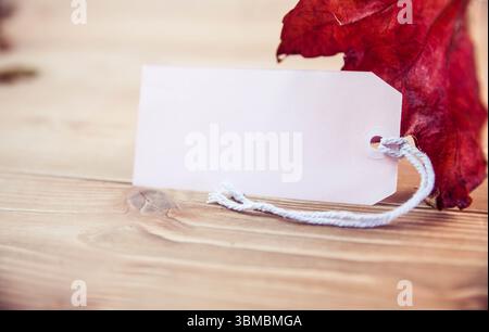 Price tag with maple leaf Stock Photo