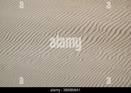 Natural sand patterns with wave-like grooves on a dune, beach near Hvide Sande, North Sea, Denmark, Europe Stock Photo