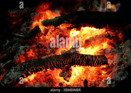 Close-up of glowing orange wood embers and blackened logs surrounded by white ash, showing intense heat and texture in a campfire or fireplace setting Stock Photo
