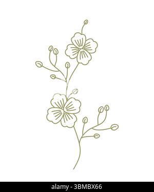 Deadwood flower isolated. wildflowers, dried flowers graphics Stock Vector