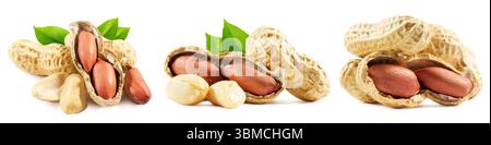 set of peanuts in shell with leaves isolated on a white background. Stock Photo
