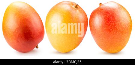 set of mango isolated on a white background. Stock Photo