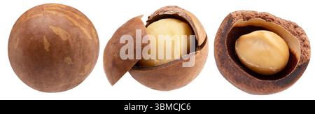 collection of macadamia nuts isolated on a white background. Stock Photo