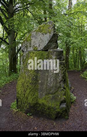 Celtic stone overgrown with moss, sacrificial stone, rattling stork stone in the forest on Schaumberg, Tholey, Saarland, Germany, Europe Stock Photo