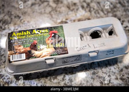 Avon, USA - June 26, 2022: Eggs dozen in egg carton from Amish acres small family farming farm in Westcliffe Colorado grade A large food Stock Photo