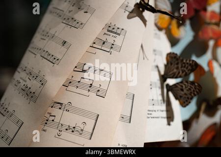 Vintage sheet music pages with butterflies, capturing a nostalgic blend of classical notes and delicate nature. Stock Photo