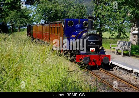 No 1, Tal y Llyn, Rhydyronen, Talyllyn Railway, North Wales Stock Photo ...