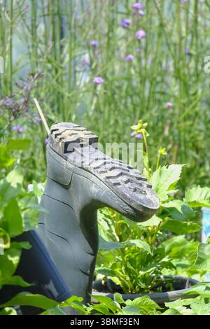 Upside-down wellington boot on a pole used as an eco-friendly snail trap in a quirky allotment garden. Stock Photo