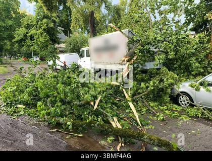 Berlin, Germany. 26th June, 2025. A tree fell on cars and a van in the Berlin district of Heiligensee due to heavy gusts of wind. Credit: Jens Dudziak/dpa/Alamy Live News Stock Photo