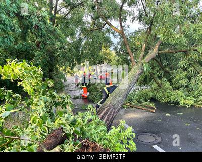 Berlin, Germany. 26th June, 2025. Firefighters work on a tree uprooted by heavy gusts of wind in the Berlin district of Heiligensee. Credit: Jens Dudziak/dpa/Alamy Live News Stock Photo
