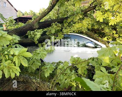 Berlin, Germany. 26th June, 2025. A tree uprooted by heavy gusts of wind lies on a car in the Heiligensee district of Berlin. Credit: Jens Dudziak/dpa/Alamy Live News Stock Photo