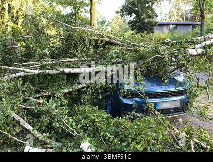 Berlin, Germany. 26th June, 2025. A tree uprooted by heavy gusts of wind lies on a car in the Heiligensee district of Berlin. Credit: Jens Dudziak/dpa/Alamy Live News Stock Photo