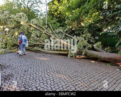 Berlin, Germany. 26th June, 2025. Storm damage in Lichterfelde after a severe thunderstorm. Credit: Wolfram Steinberg/dpa/Alamy Live News Stock Photo