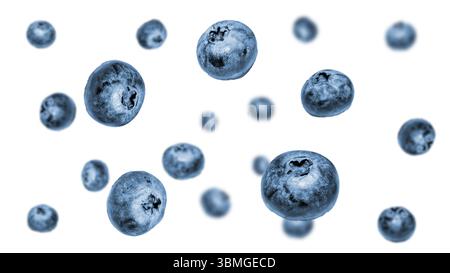 Splash blueberries in air. falling fruit isolated on white background. Stock Photo