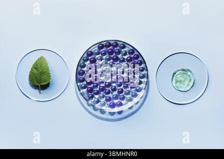 Sample of gel bubbles and green leaf in petri dish on blue background, hard shadows. Abstract science, medicine and beauty concept Stock Photo