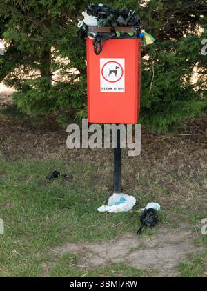 An overfull dog waste only bin with excess bags left on the ground in the UK Stock Photo