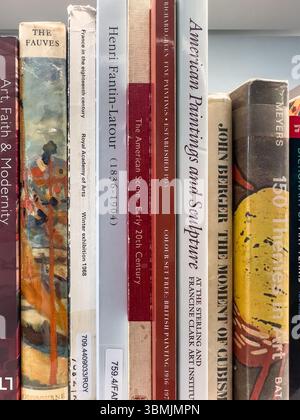 Books on an art library shelf showcasing various historical art movements and artists - spines covers titles Stock Photo